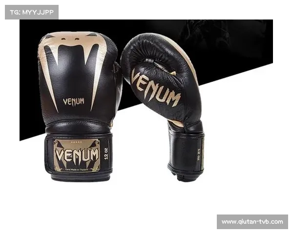 拳击器材主要生产商Everlast、Venum、Hayabusa等占据超50%市场份额